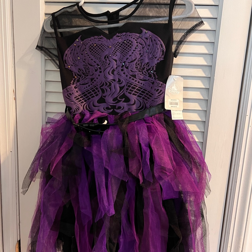 Disney  Descendants costumes Mal and Evie